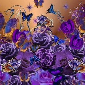 Meet your Posher, Nina